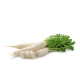 дайкон